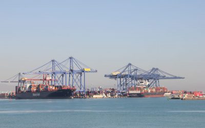 Los contenedores de export/import continúan con signo positivo en el mes de junio en el puerto de Valencia